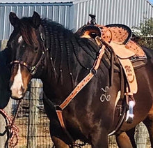Load image into Gallery viewer, 16" Sunrise Barrel Saddle, complete with pre-set fenders, 45-degree bar angles, and a matching flank included.