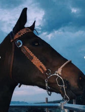 Load image into Gallery viewer, Western 1-1/2" cowboy browband headstall with rough-out chocolate leather and copper crackle whip lace.