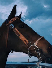 Load image into Gallery viewer, Western 1-1/2&quot; cowboy browband headstall with rough-out chocolate leather and copper crackle whip lace.