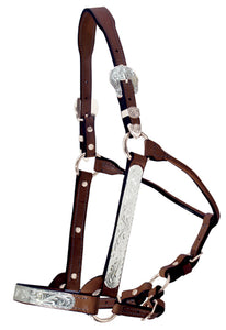 Chestnut Silver Show Halter & Lead