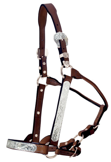 Chestnut Silver Show Halter & Lead