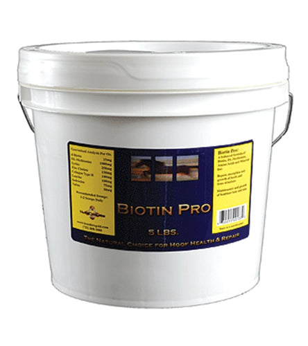 Biotin Pro 5 lbs.