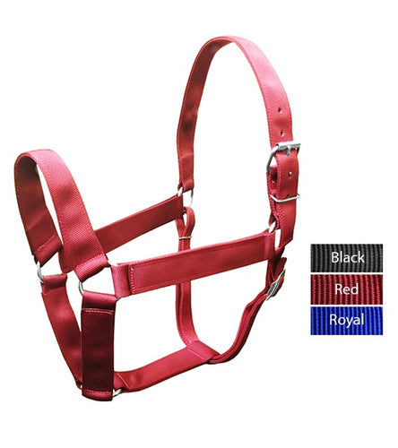 Valhoma Draft Horse Extra Wide Halter